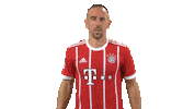 happy fc bayern Sticker by Bundesliga