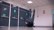 bfolk  GIF