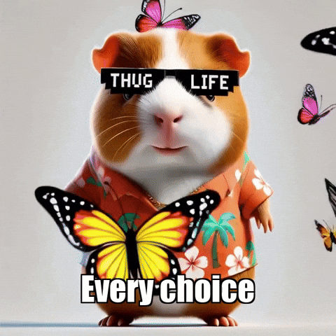 Color Love GIF by Guinea Gambino