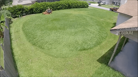 lawn satisfying GIF