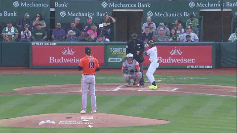 tesstass giphyupload GIF