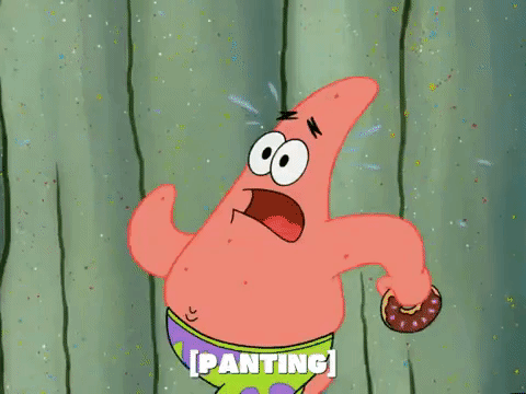 season 5 episode 10 GIF by SpongeBob SquarePants