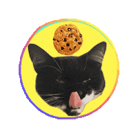 Cookie Sweetie Sticker by MeowParlour