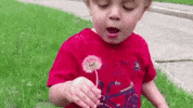 Baby Ew GIF