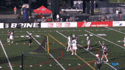 celebrate lets go GIF by Boston Cannons