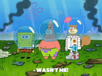 season 8 episode 13 GIF by SpongeBob SquarePants