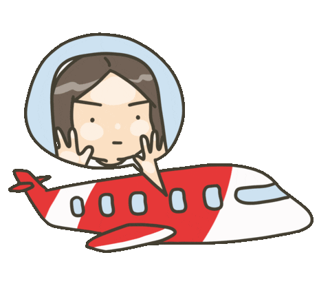 Travel Airplane Sticker