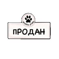 Kseniaep Sticker