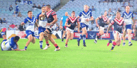 push fend GIF by Sydney Roosters Football Club
