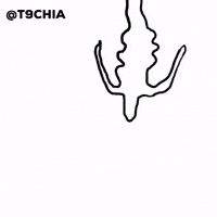 Animation Morocco GIF