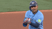 Blue Jays Applause GIF by Toronto Blue Jays