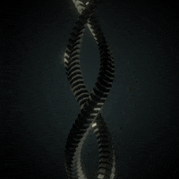 Loop Glow GIF by xponentialdesign