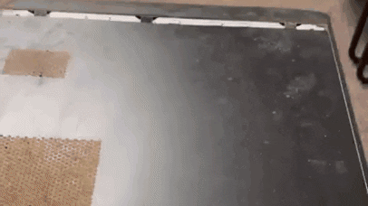Digital_Too giphyupload GIF