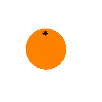 Orange Fruit Illustration Sticker