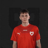 Nxt Hug GIF by mousesports