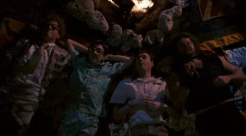 theBigE giphygifmaker cat dog nerds GIF