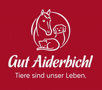 GutAiderbichl gut aiderbichl gutaiderbichl tieresindunserleben wirliebentiere GIF