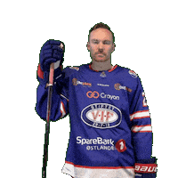 Match Daniel Sticker by VIF Hockey