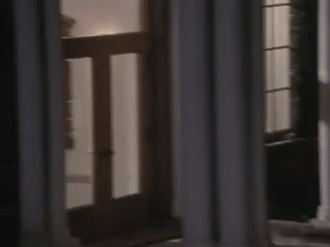 the mystery files of shelby woo nicksplat GIF