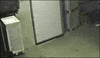 pallet fail GIF