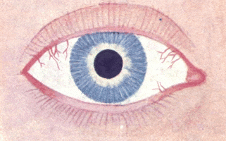 eye GIF by Scorpion Dagger