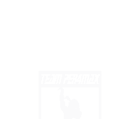 Wheelchair Basketball Sticker by PER4MAX