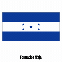 Flag Bandera GIF by Formación Ninja