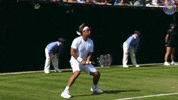 umpire fail GIF by Wimbledon