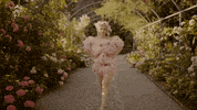 Get It Look At Me GIF by Anja Kotar