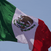 Mexico Flag GIF by FIA World Rally Championship