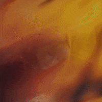 Girl Love GIF