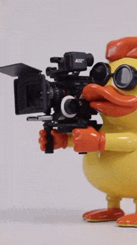 Camera Man Omg GIF by Sueno Tattoo