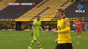 Football Celebration GIF by MolaTV
