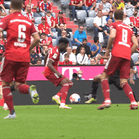 Sport Soccer GIF by FC Bayern Munich