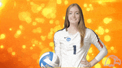 Cnvb GIF by Carson-Newman Athletics