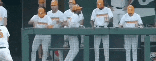 World Series Baseball GIF by NCAA Championships