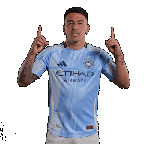 Mls Sticker by New York City FC