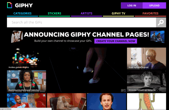 GIF by How To Giphy