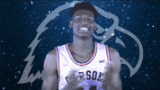 Defense Cnmb GIF by Carson-Newman Athletics