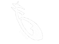 Mortal Instruments Runes Sticker