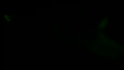 irlcam GIF by Johanna Kenney