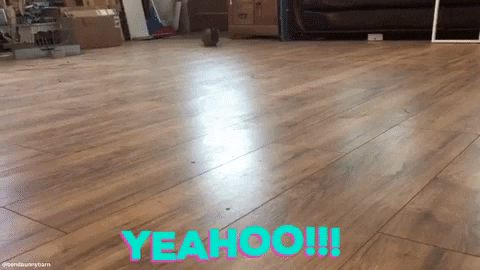Video gif. Brown bunny scurries towards us along a hardwood floor. In a bright teal font with magenta shadows, text at the bottom reads, "YEAHOO!!!"