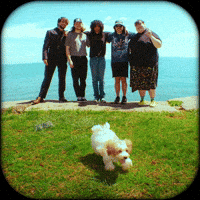 Rock Band Puppy GIF by SideOneDummy Records