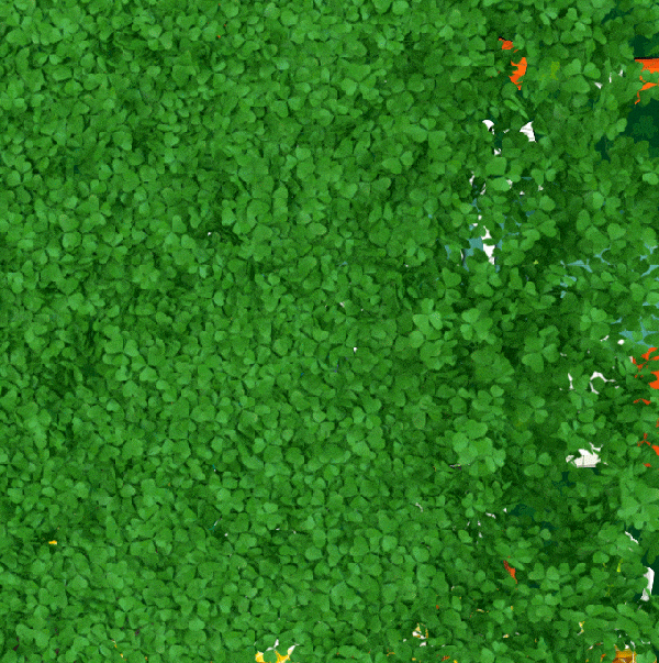 St Patrick Dogs GIF by HammyandBrody
