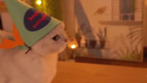 cat yes GIF