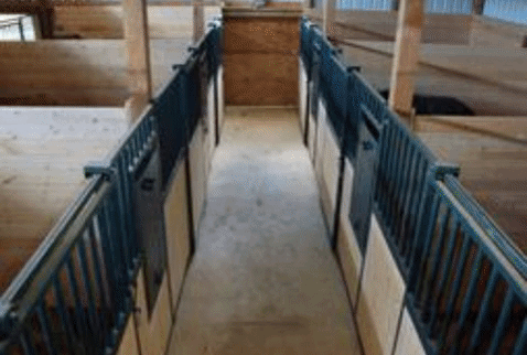 horse hotel oregon GIF