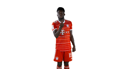 Football Love Sticker by FC Bayern Munich