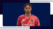 Celebration Goal GIF by MillwallFC