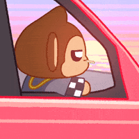 Whats Up What GIF by Chimpers