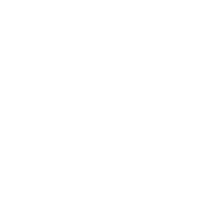 Lettering Line Sticker